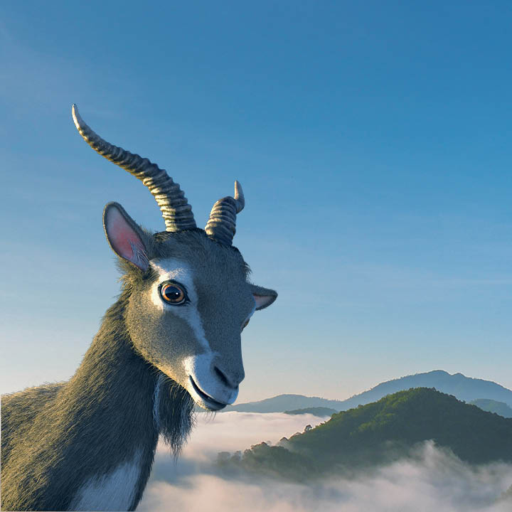 MountainOne Bank 01
