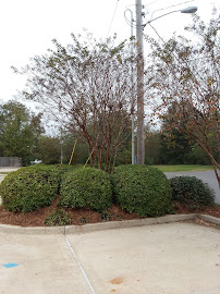BancorpSouth Bank 02
