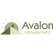The Avalon Management Group, Inc. 03