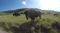 Century 21 Big Sky Real Estate 03