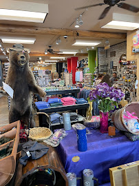 Mangy Moose Emporium 02