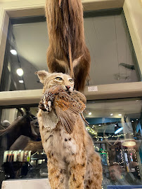 Mangy Moose Emporium 03