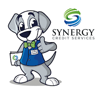 Synergy Credit Services 03