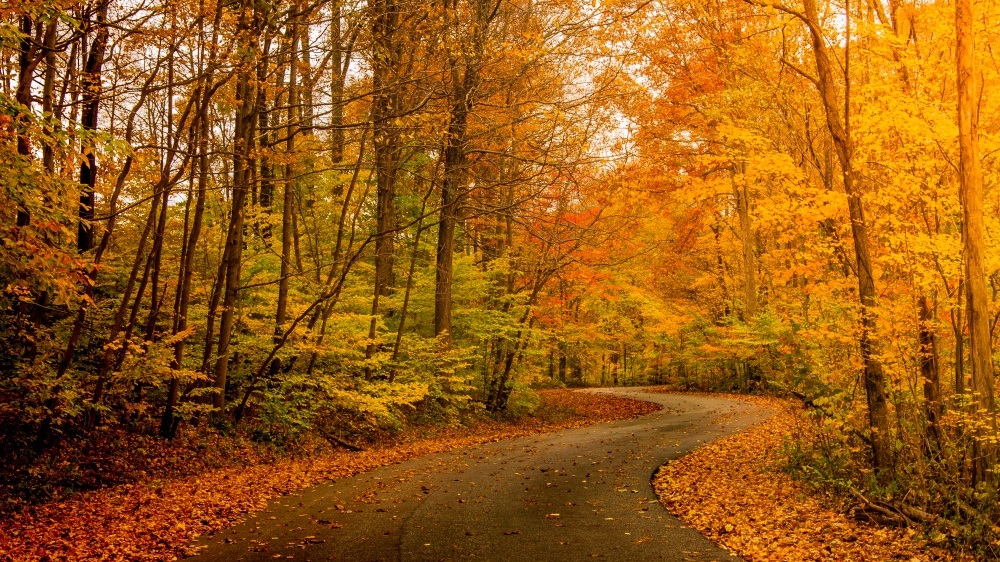 Pathway Financial Planning 01