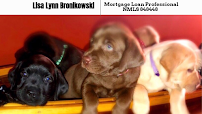 Lisa Lynn Bronikowski - Mortgage Loan Professional NMLS 848448 02