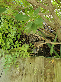 Wildlife Rescue & Rehabilitation 02
