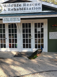 Wildlife Rescue & Rehabilitation 04