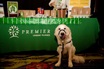 Premier Lending Alliance, LLC 04
