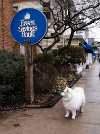 Essex Savings Bank 03