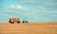 Popular Ag Finance 01
