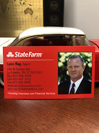 Lynn Ray - State Farm Insurance Agent 02