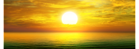Sunshine Credit Restoration LLC 01