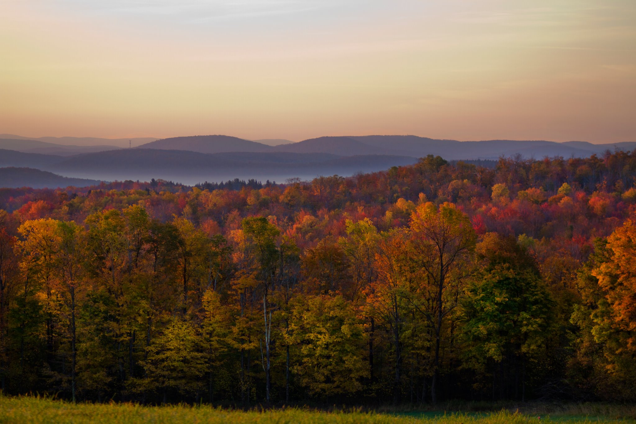 New York Land & Lakes Development, LLC 01