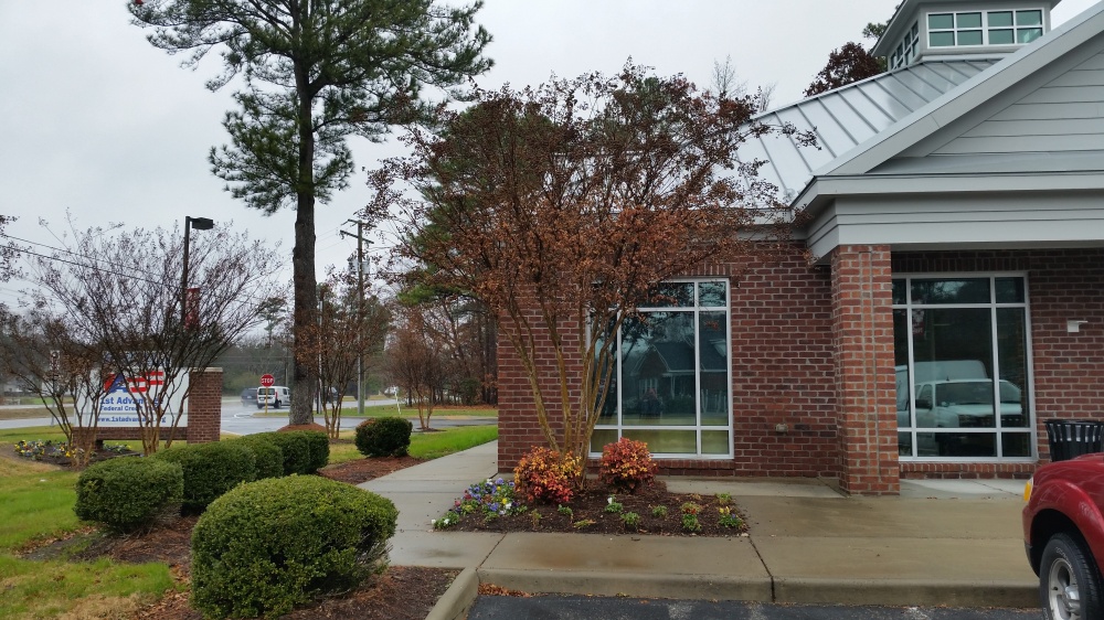 1st Advantage Federal Credit Union 01