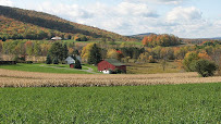 Farm Home Lending 02