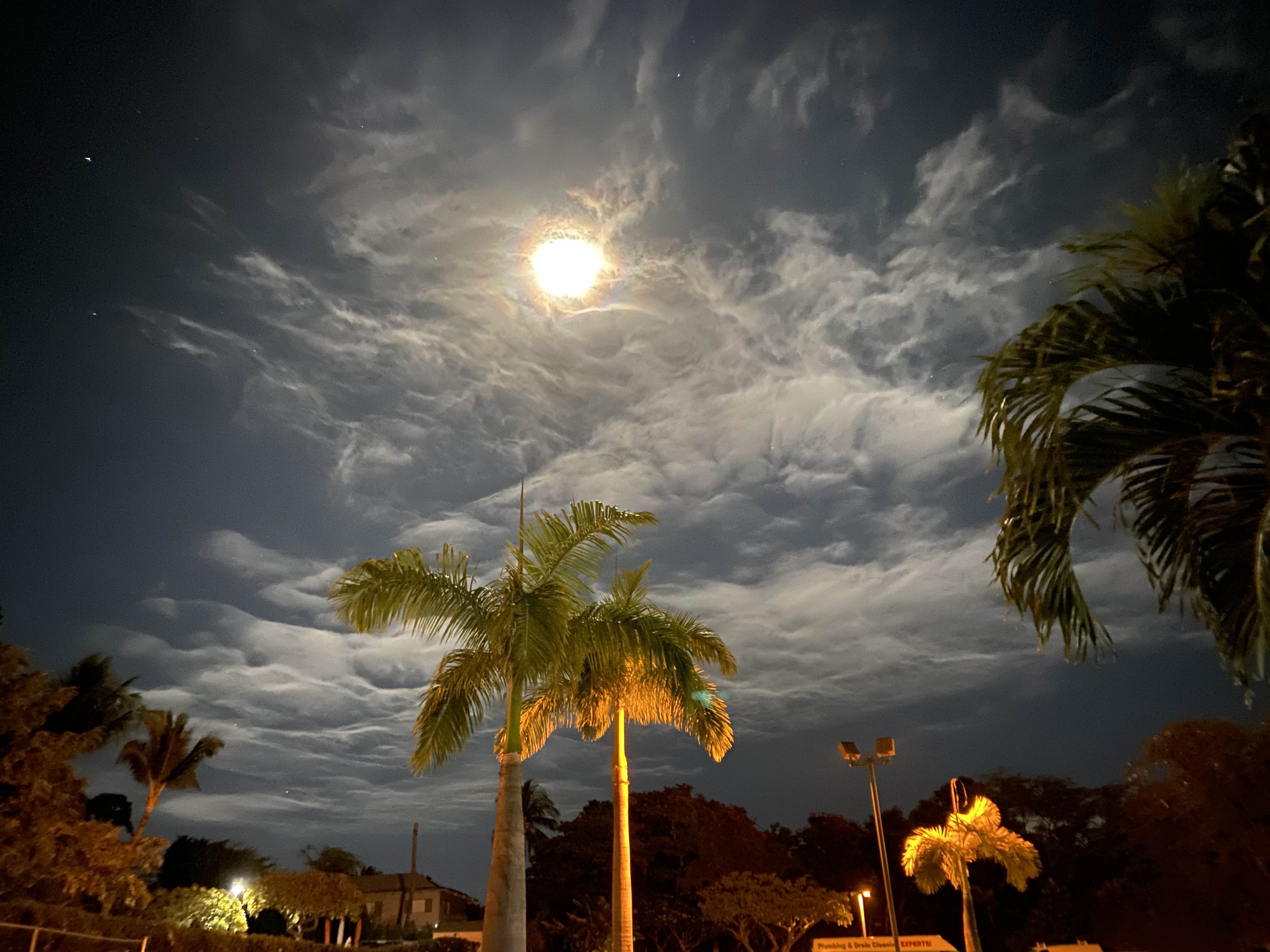 Maui Living Team | brokered by eXp Realty 01