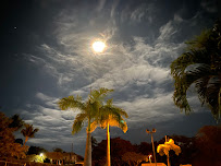 Maui Living Team | brokered by eXp Realty 01