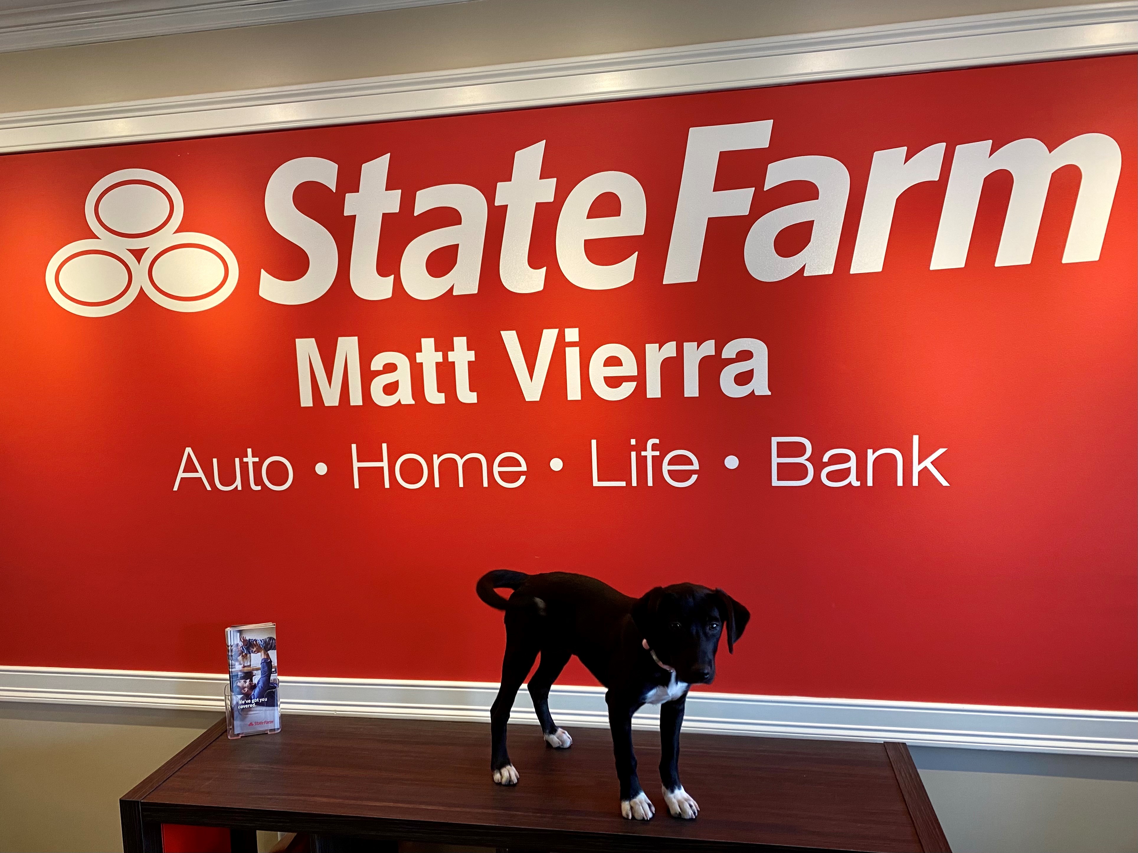 Matt Vierra - State Farm Insurance Agent 01