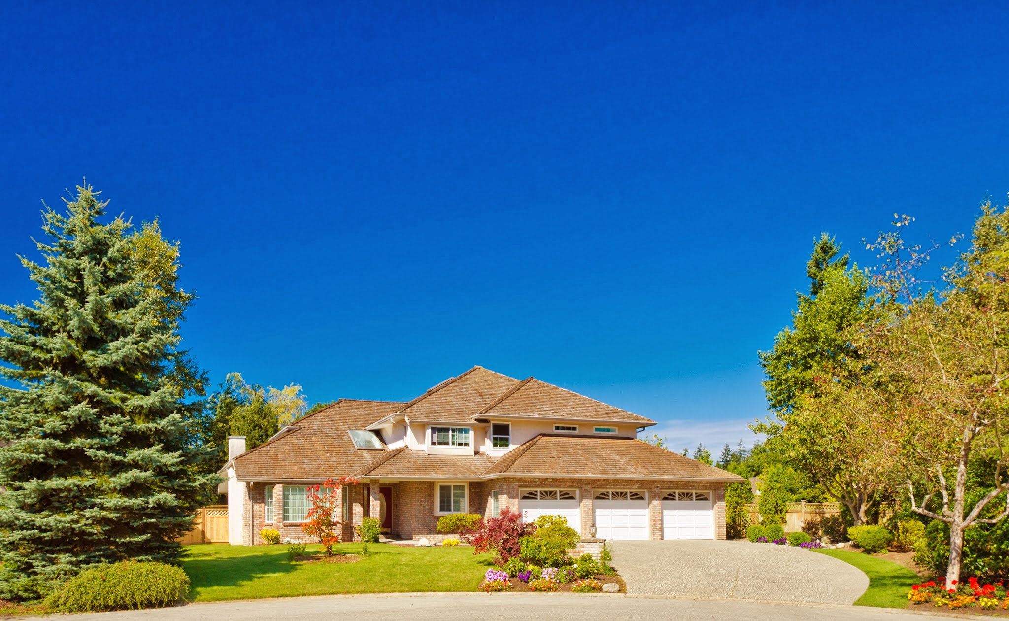 Avrus Financial & Mortgage Services, Inc. 01