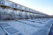 Tammy Blau - Westhampton Real Estate Broker 01