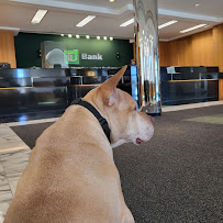 TD Bank 02