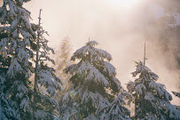 Spruce Mortgage 01