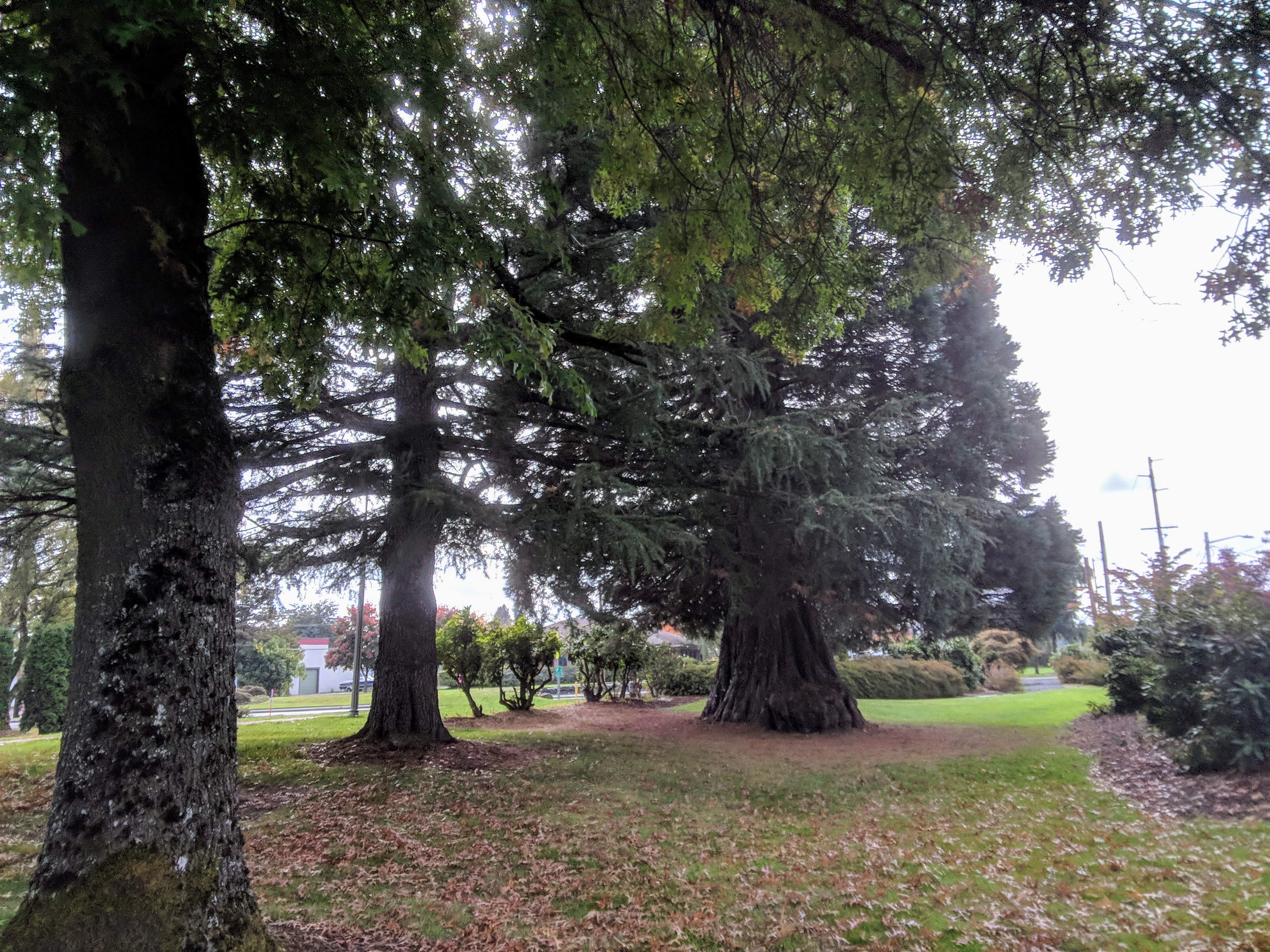 Mt Rainier Realty 01