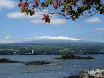 Pacific Isle Properties 01