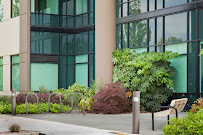 Stifel 02