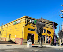 Oportun 01