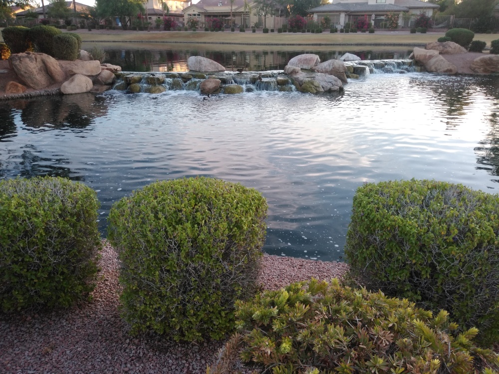 Agean Cove At Fulton Ranch 01