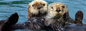 Monterey Credit Union 01