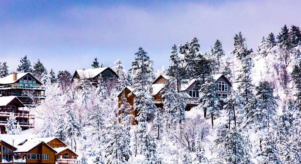 Big Bear Insurance Agency 01