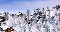 Big Bear Insurance Agency 01
