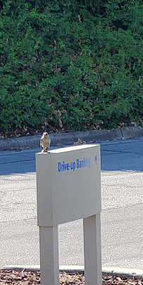 Bank of America (Drive-thru Service Only) 03
