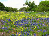 Lone Star Reverse Mortgage, Inc. 01