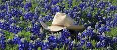 Texan Mortgage 01