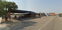 Sunflower Bank 01