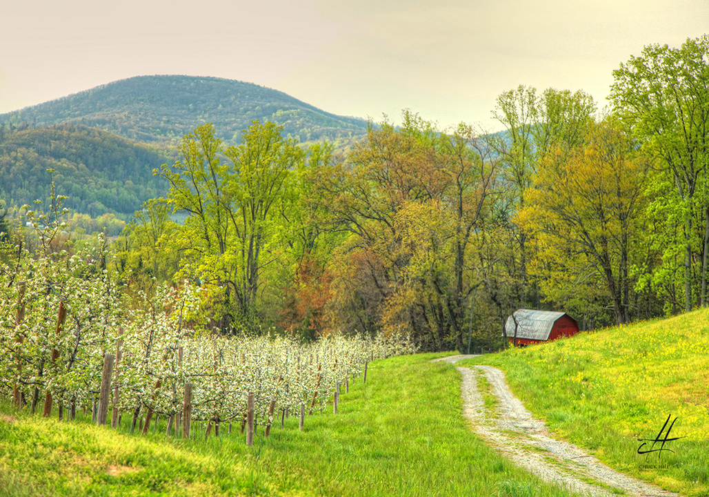 Apple Country Realty 01