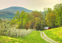 Apple Country Realty 01
