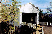 Mountain View Real Estate & PM 02