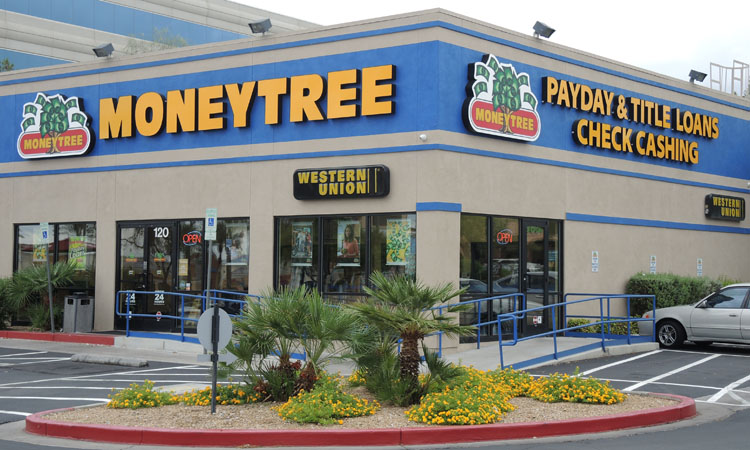 Moneytree 01