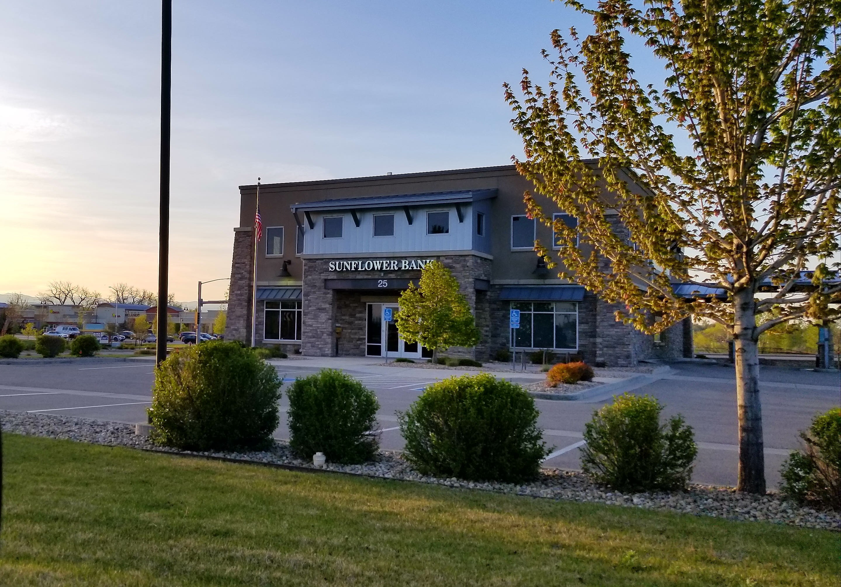 Sunflower Bank 01
