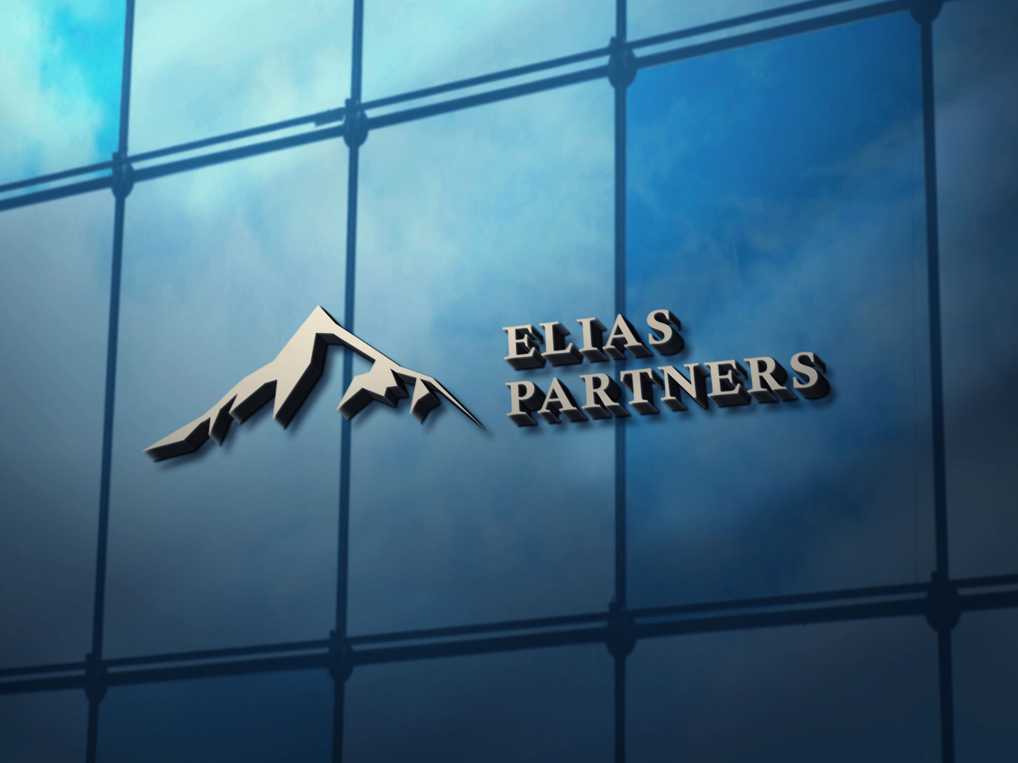 Elias Partners LP 01