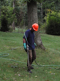 Tamke Tree Experts Inc 02