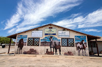 Jennifer Row, Altitude Home Loans Benson, AZ 01