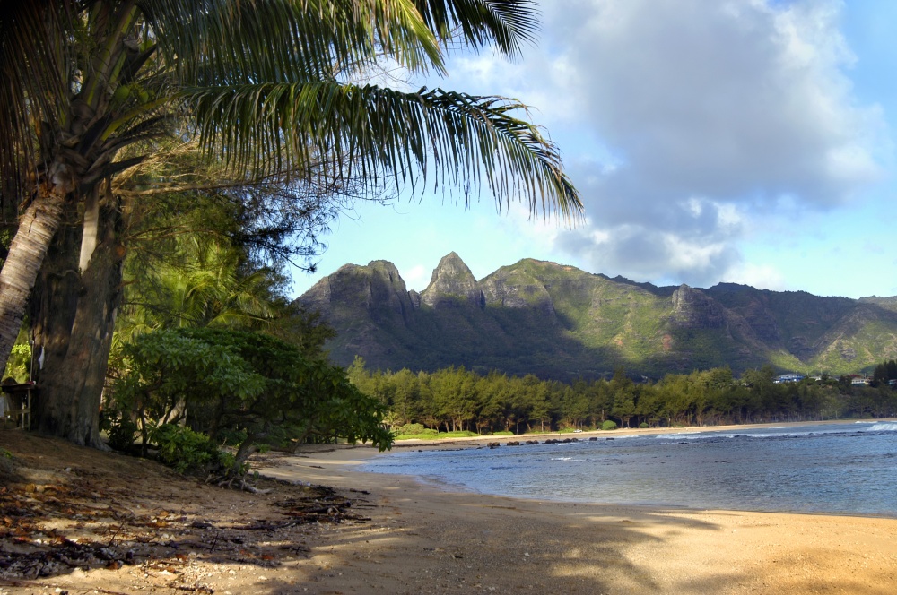 RE/MAX Kauai - Princeville Office 01