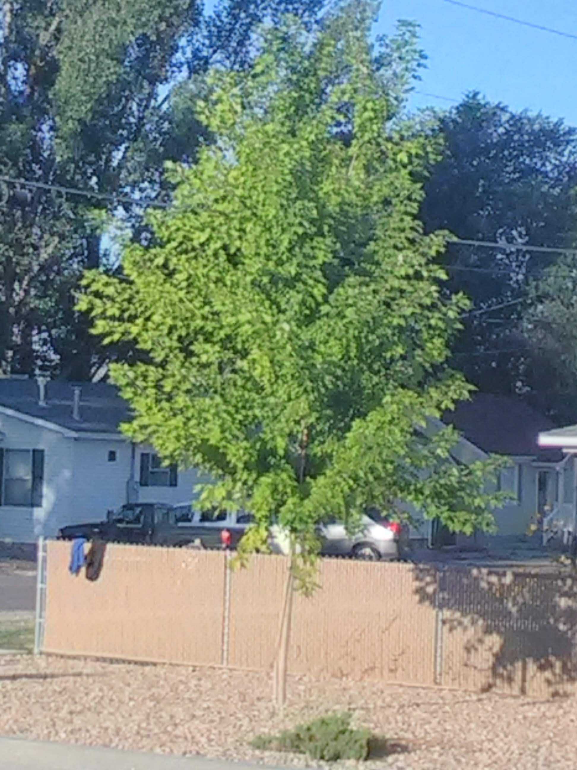 Utah Heritage Cu 01