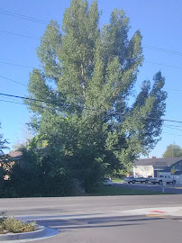 Utah Heritage Cu 04