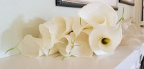 Rainbow Mobile Notary And Nuptials Wedding Officiants Network 04